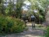 dsc00455_small.jpg