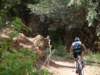 dsc00456_small.jpg
