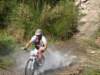 dsc00458_small.jpg