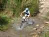 dsc00460_small.jpg