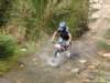 dsc00463_small.jpg