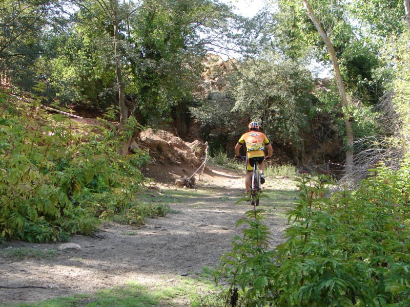 dsc00469.jpg