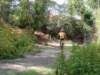 dsc00469_small.jpg