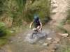dsc00486_small.jpg