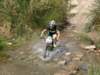 dsc00498_small.jpg