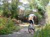 dsc00503_small.jpg