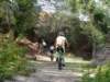 dsc00509_small.jpg