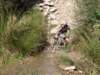 dsc00510_small.jpg