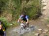 dsc00511_small.jpg