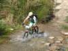 dsc00513_small.jpg