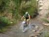 dsc00516_small.jpg