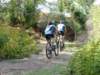 dsc00530_small.jpg