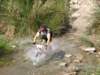 dsc00534_small.jpg