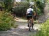 dsc00536_small.jpg