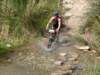 dsc00553_small.jpg