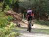 dsc00555_small.jpg