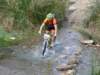 dsc00561_small.jpg