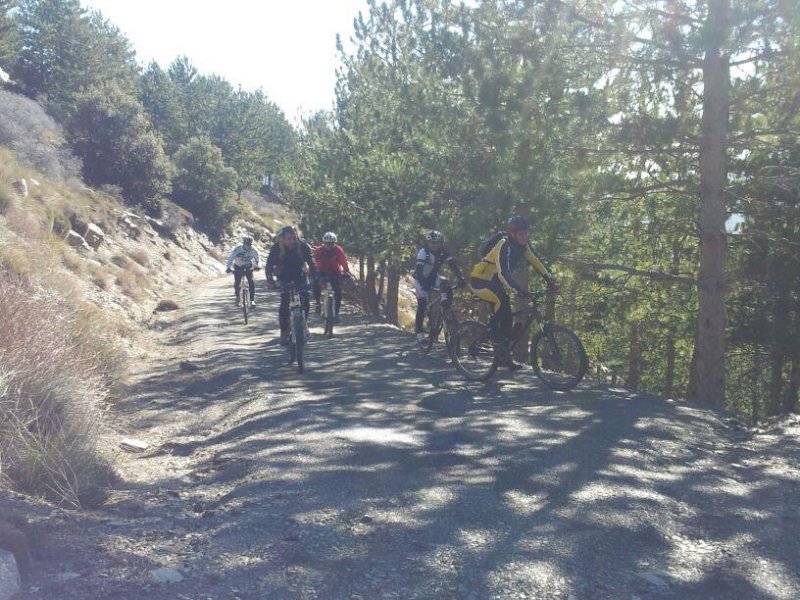 img20130216wa0015.jpg