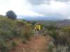 img20130516wa0000_small.jpg
