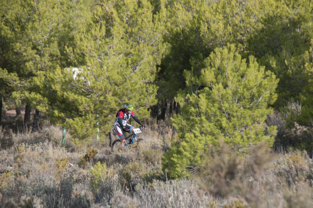 _dsc0573.jpg