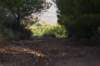 dsc07016_small.jpg