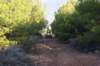 dsc07017_small.jpg