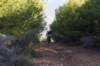 dsc07018_small.jpg