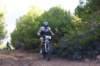 dsc07027_small.jpg