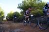 dsc07042_small.jpg