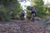 dsc07045_small.jpg