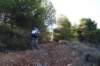 dsc07052_small.jpg