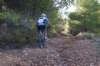 dsc07056_small.jpg
