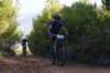 dsc07070_small.jpg