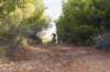 dsc07074_small.jpg