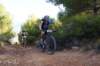 dsc07077_small.jpg