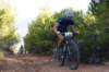 dsc07084_small.jpg