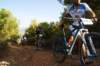 dsc07115_small.jpg
