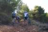 dsc07121_small.jpg