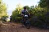 dsc07123_small.jpg