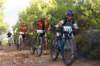 dsc07140_small.jpg