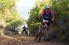 dsc07153_small.jpg