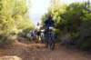 dsc07183_small.jpg