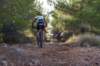 dsc07190_small.jpg