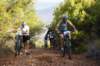 dsc07193_small.jpg
