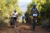 dsc07194_small.jpg