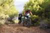 dsc07200_small.jpg
