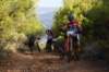 dsc07229_small.jpg