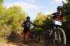 dsc07231_small.jpg