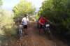 dsc07246_small.jpg