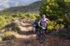 dsc07253_small.jpg